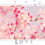 【ママ必見!】2017◆入園式・卒園式・入学式・卒業式の服装のお悩みを解決!人気ファッション記事まとめ